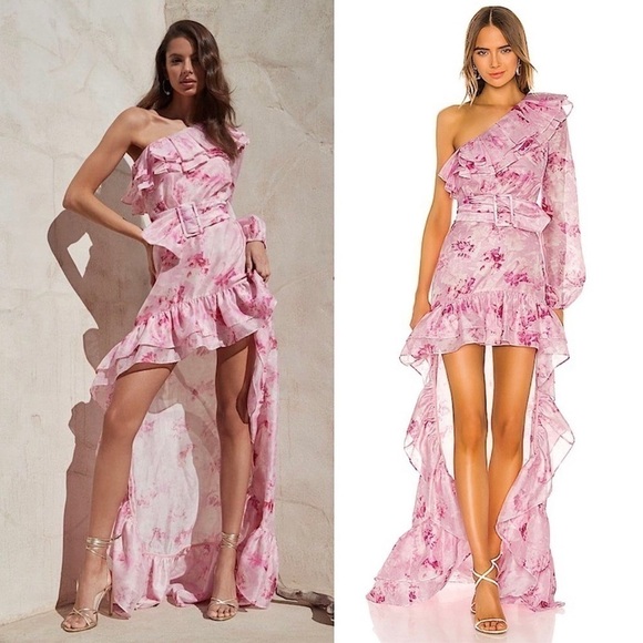 NWT Atoir Revolve Whirlwind Dress Peony Print US Size 4 - Picture 1 of 16